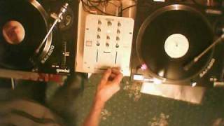 D.J. Shaney.D.(Manchester) Pendulum Tarantula mix