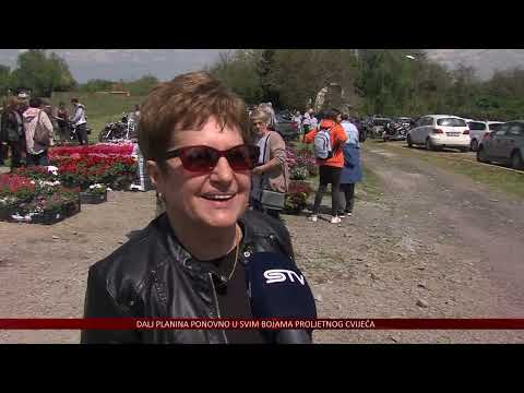 Dalj planina nakon dvije godine korona pauze ponovno u svim bojama cvijeća