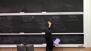 Priyam Patel - Mapping class groups of infinite-type surfaces and their actions on hyperbolic graphs