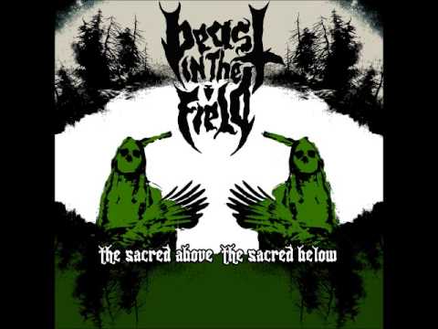 Beast in the Field: The Sacred Above The Sacred Below