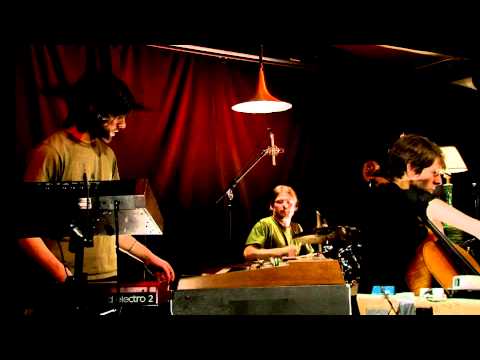 Sweet Mother Logic - Counting Sheep - Experimental / Acoustic / Pop - Montreal 2010