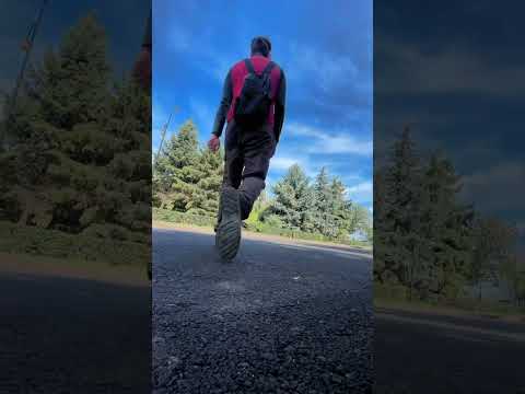 3 сентября Шуфутинский и Linkin park lol