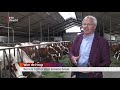 Gemaaid gras blijft groen in Werkhovense stal [RTV Utrecht]