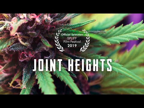 download lagu mp3 mp4 Spliff Movie, download lagu Spliff Movie gratis, unduh video klip Spliff Movie