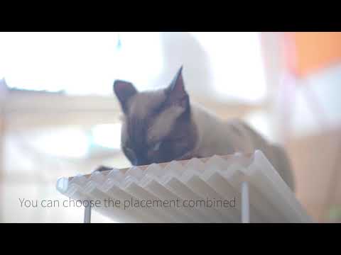 download lagu mp3 mp4 Pidan Cat Scratcher, download lagu Pidan Cat Scratcher gratis, unduh video klip Pidan Cat Scratcher