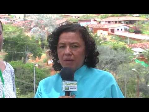 Zapatoca.net - Zapatoca.net -