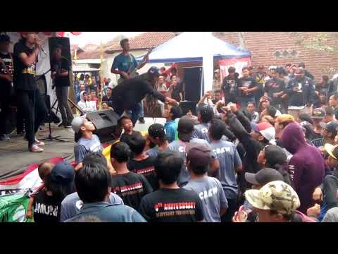 Royal steady reggae steady beat Bandung - Jalan Terbaik (Cover)
