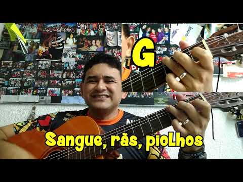 As 10 Pragas Do Egito - Forró Sotaque Bacana