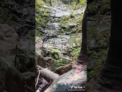 biodiversidad en chinacota norte de Santander
