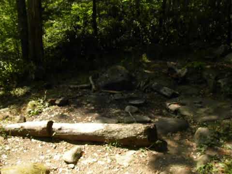 This is the area looking from the trail shelter.