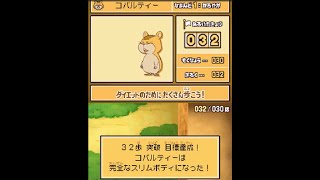 【レイトン教授と悪魔の箱　#13】ハムちゃんの可愛さに終盤で気づく