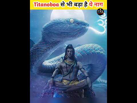 Titanoboa vs Vasuki INDICUS #shorts #youtubeshorts #factwithshaukeen