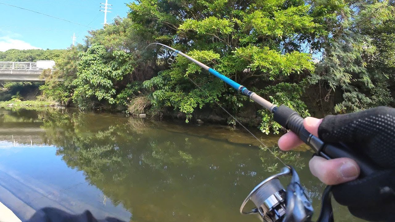 日本でミステリークレイフィッシュを釣る！