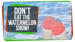 Don't Eat the Watermelon Snow!