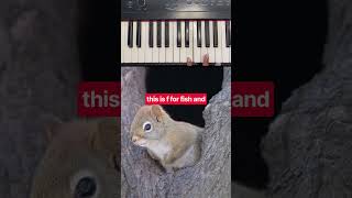 Download lagu F and F flat mp3 Download lagu F and F flat mp3