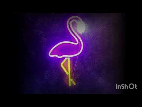 Kash Twins x Huskii - Wollongong