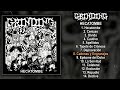 Grinding Hecatombe FULL ALBUM 2021 Grindcore