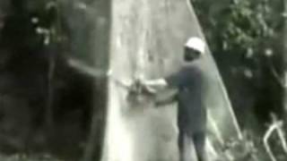 Oi Polloi - Thin Green Line