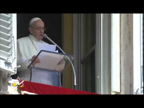 Papa Francisco: La paz es un bien que supera toda barrera