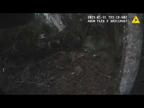 78-year-old pilot injured after crashing 'homemade' plane, sheriff says