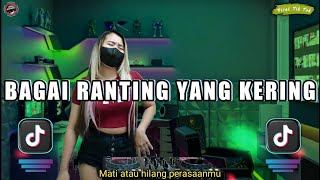 Download lagu DJ MATI ATAU HILANG PERASAANMU X DJ BAGAI RANTING YANG KERING REMIX FULL BASS VIRAL DI TIK TOK mp3