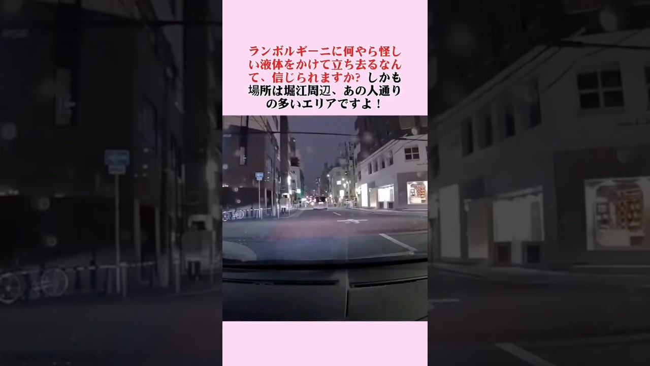 人の車に怪しい液体をかけて立ち去る外国人さん…に対する世間の反応集　#政治