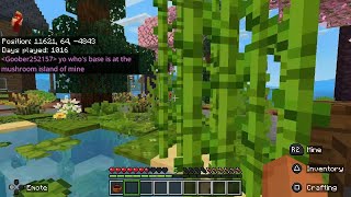 Little lovely island