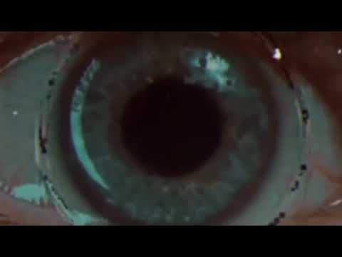 SPVRROW - Dead Gods (Official Visualizer)