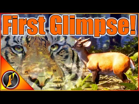 FIRST GLIMPSE at the NEW MAP! | Was That a Tiger?!?! | theHunter Call of the Wild