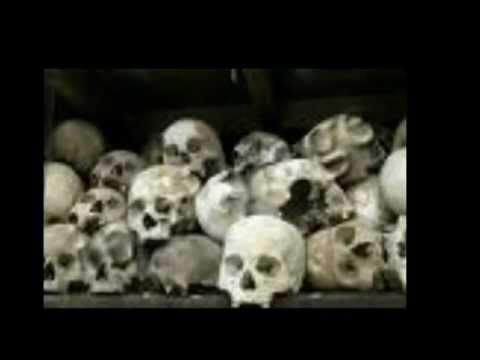 la sombra del gato negro emiliano cardozo