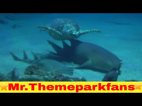 Diergaarde Blijdorp part 1/4 aquarium Oceanium ontdekken. 😁