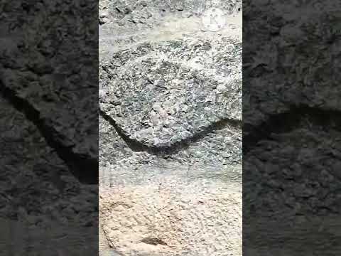 #tamilshorts#amaneeswarar temple#near #kinathukadavu #devanampalayam