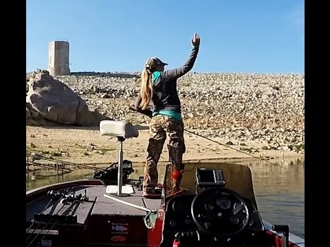 Lost Deps250 Fish - Destined To Fail