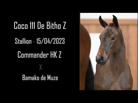 Coco 111 de Bitho Z