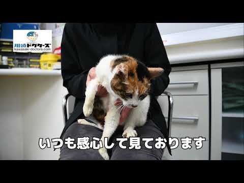 飼い主女性の声