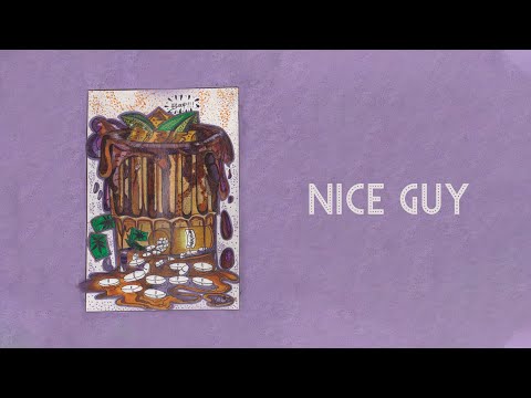 Dwin - NICE GUY (Official Audio)