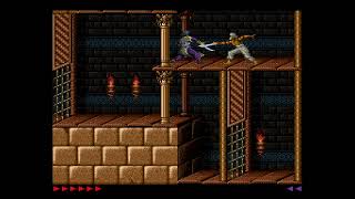 Casual Longplay: Prince of Persia - 30th Anniversary (SNES Mod v.1.1.5) full game session