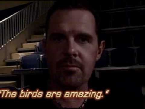 Promotional video thumbnail 2 for Squawk! The Amazing Bird Show