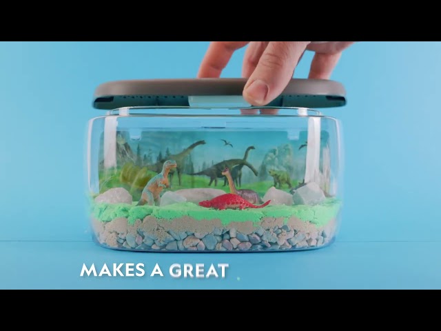 Vídeo relacionado con Blue Marble National Geographic Terrario de Dinosaurios con Luz - CREA un Hábitat Prehistórico con Arena, Gemas Reales y Figuras de Dinos, Kit Científico para Niños y Niñas