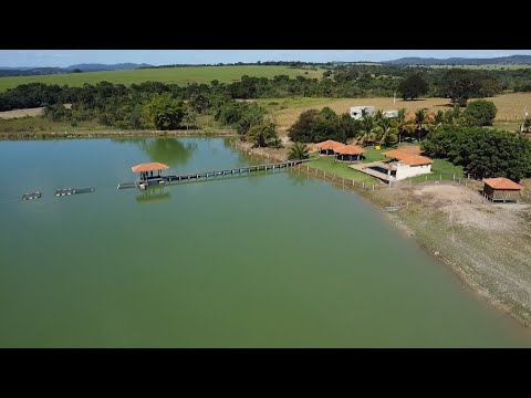 8 ALQU Luxo Duplo APTIDÃO Valor 4 MILHÕES Próx Mairipotaba 100 kmGoiânia Aceita imóveis 62981414270