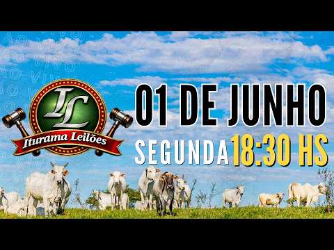 Iturama Leilões - Iturama  MG - 01 de  Junho 2026