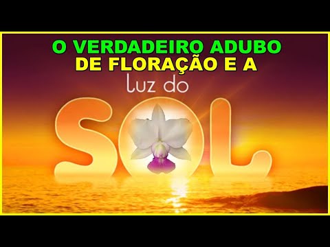 , title : 'O VERDADEIRO ADUBO PARA A FLORAÇÃO É A LUZ DO SOL'
