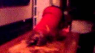 Mary&#39;s inchworm?