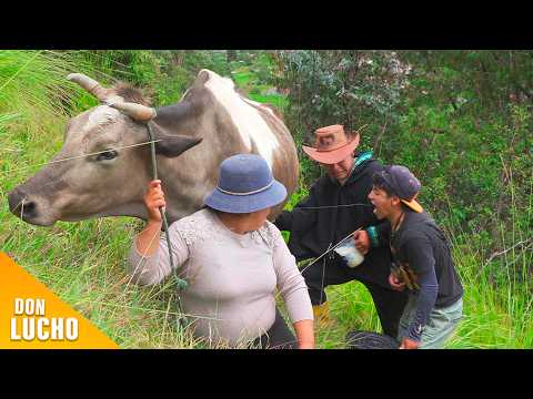 My business failed because of my friends