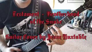 Testament - Brotherhood of the Snake (Guitar Cover)