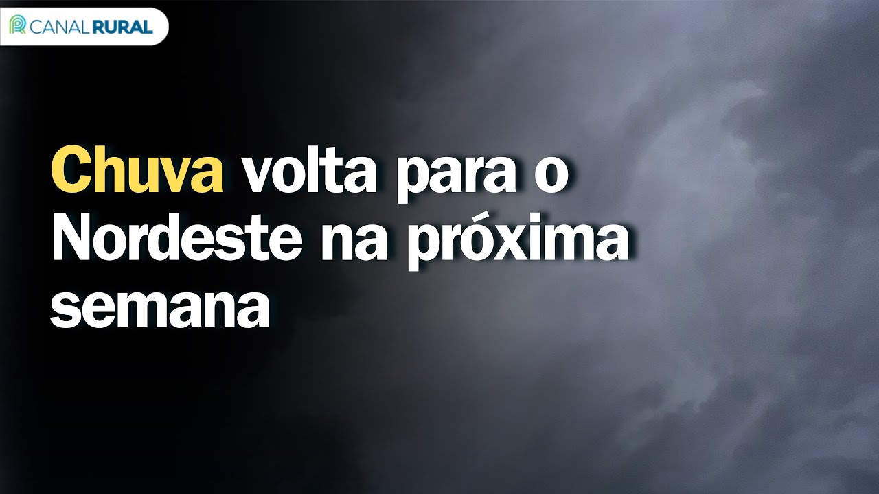 Previsão do tempo | Brasil 15 dias | Chuva volta para o Nordeste do país na próxima semana