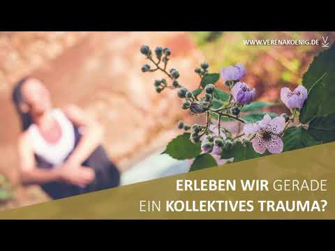 Erleben wir gerade ein kollektives Trauma? // Podcast #86