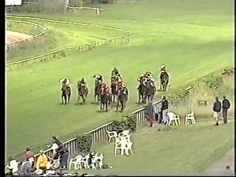 Princess Dawn, 1998????, Klampenborg (Copenhagen Racecourse)