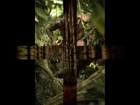 Flyge - Run Through The Jungle