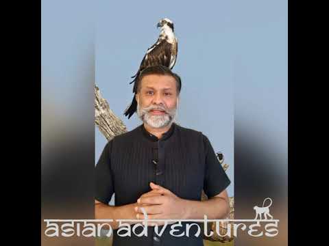 Birdwatching Tours India